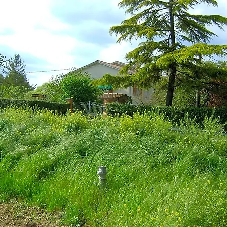 Bed and Breakfast La Mimosa Spello