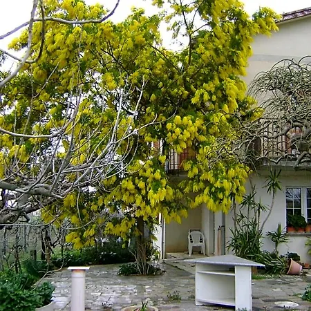 La Mimosa 3*