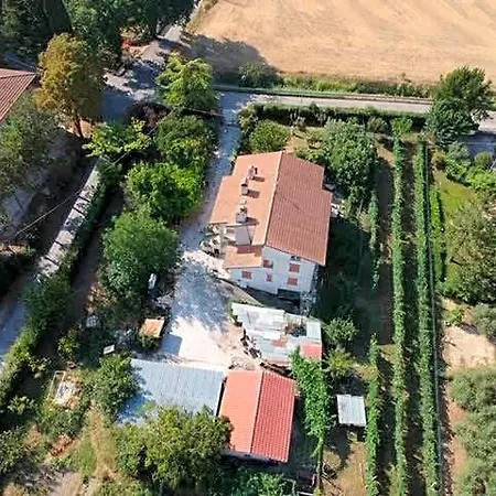 La Mimosa 3*