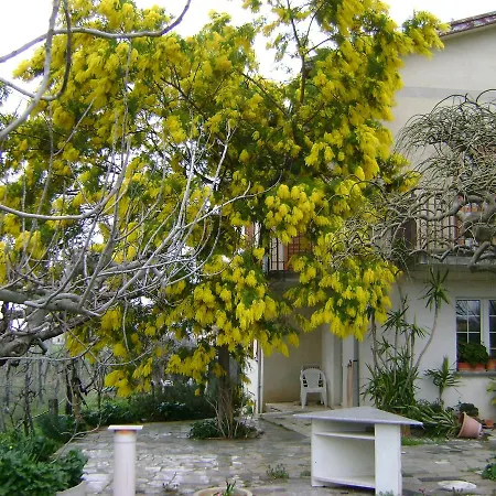 La Mimosa Bed & Breakfast