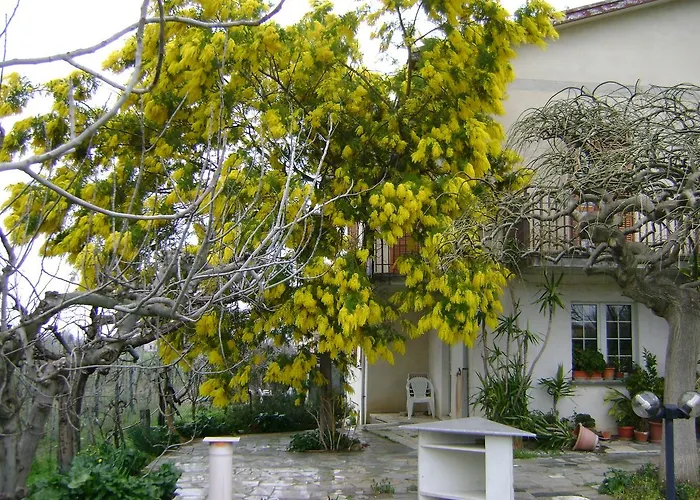 La Mimosa Bed & Breakfast